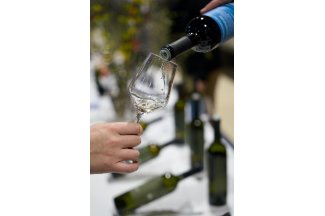 vino